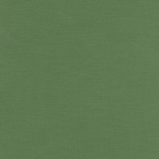 [449354] Kona Dill 1840