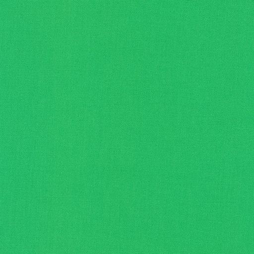 [1534359807] Kona Fern 1141