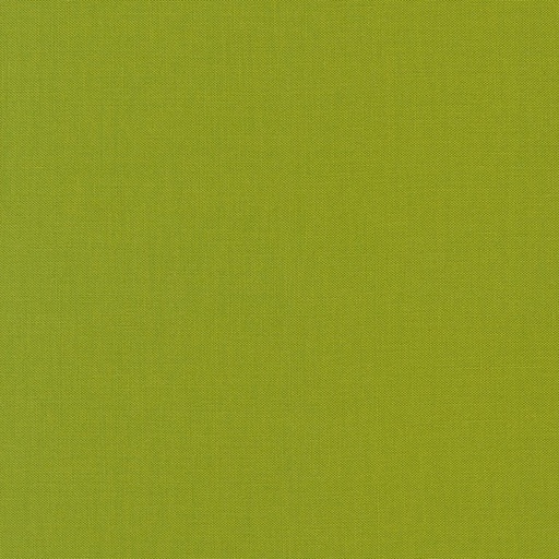 [1541010201] Kona Lime 1192