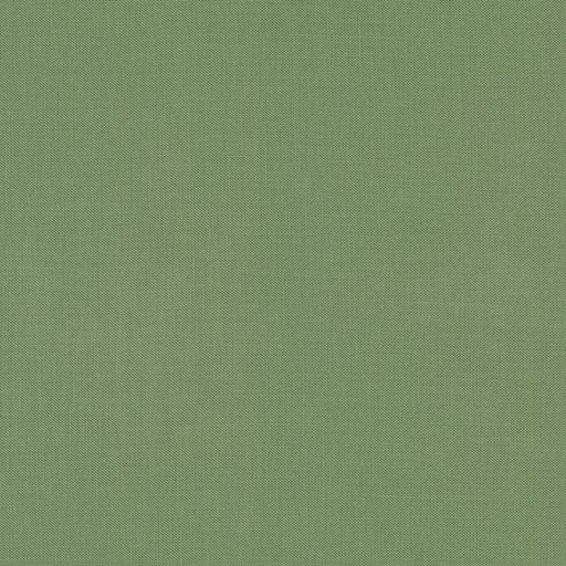 [217032] Kona O. D.  Green 1256