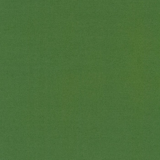 [1544650833] Kona Palm 31