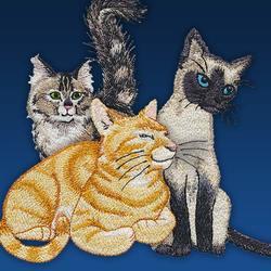 [80126CD] OESD Caturdays