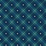 [671004] Plaid 9611 077