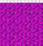 [990938] Sunshine 5 SS 2