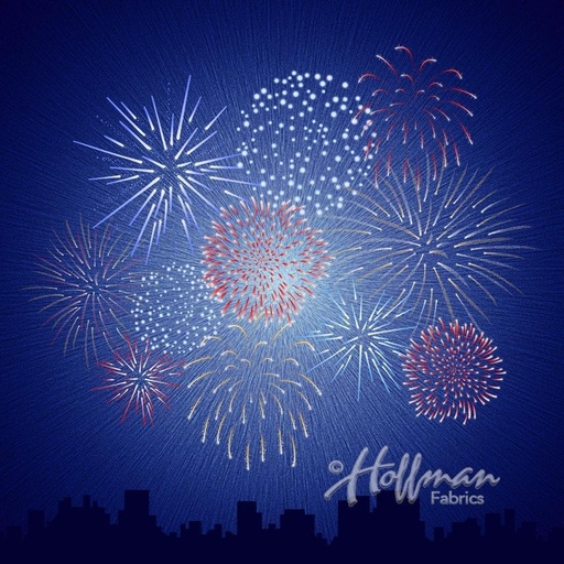 Supernova Americana Panel