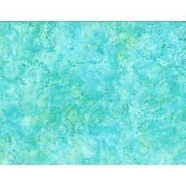 [509538] Teal-ing Good 22270 747